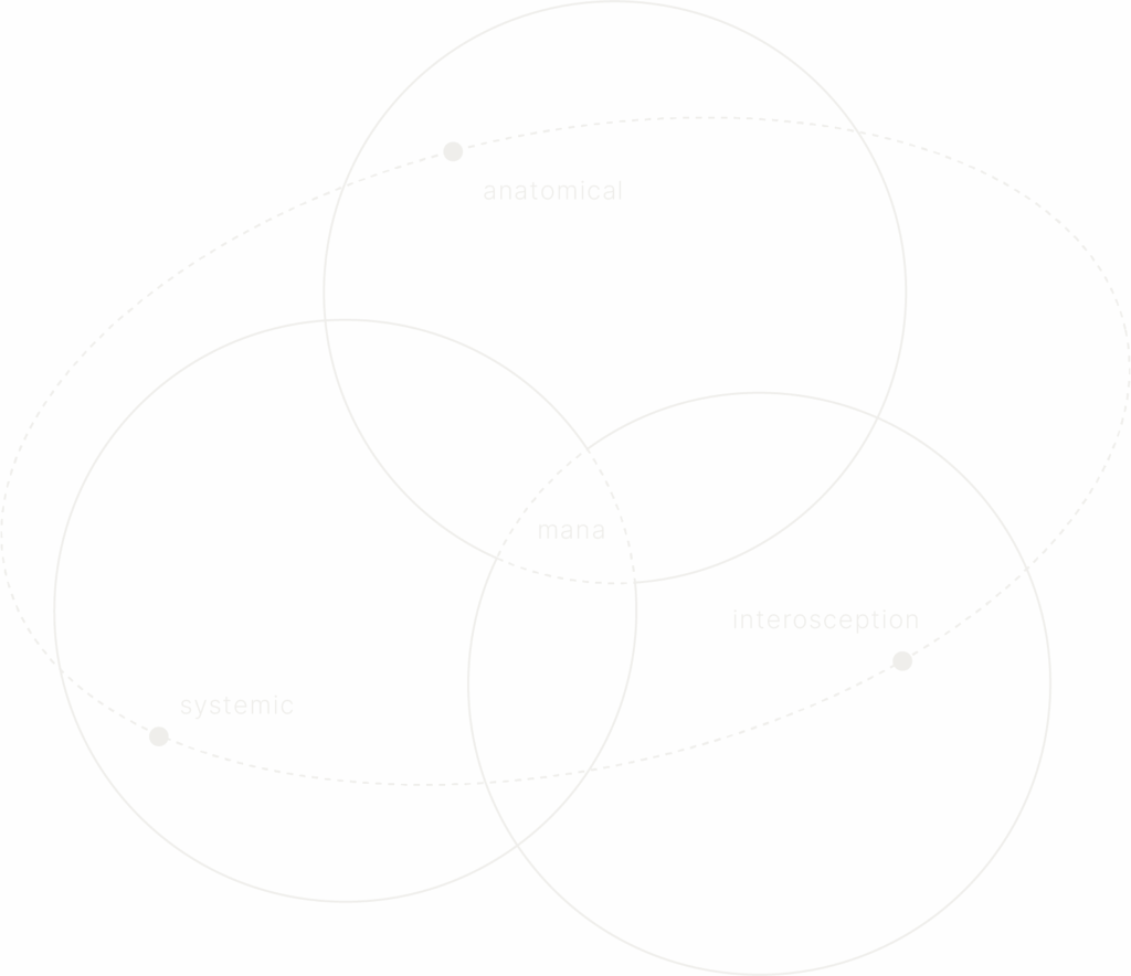 Homepage The Masi Method