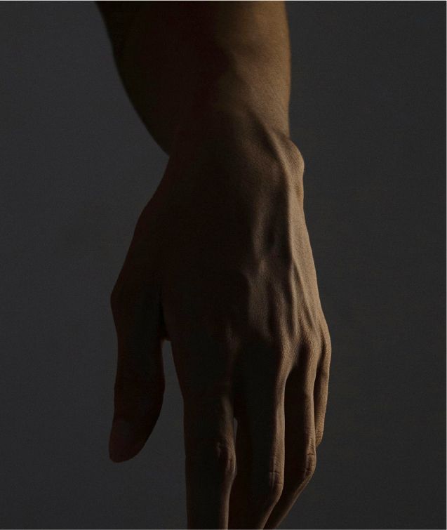 Masi Clinic Homepage Elbow Wrist